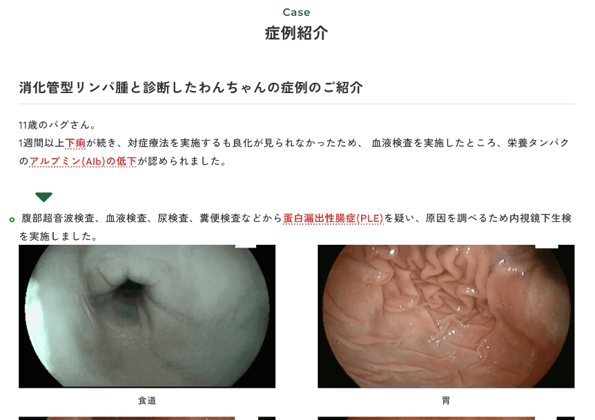 比較イメージ画像