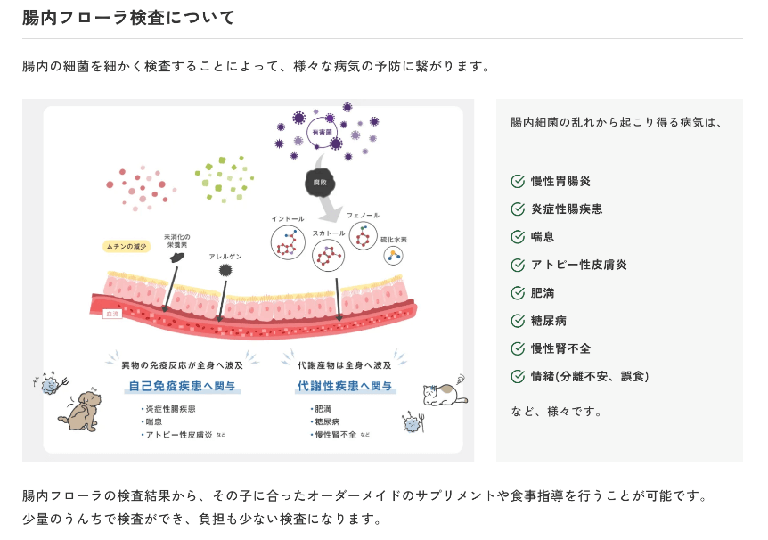 比較イメージ画像