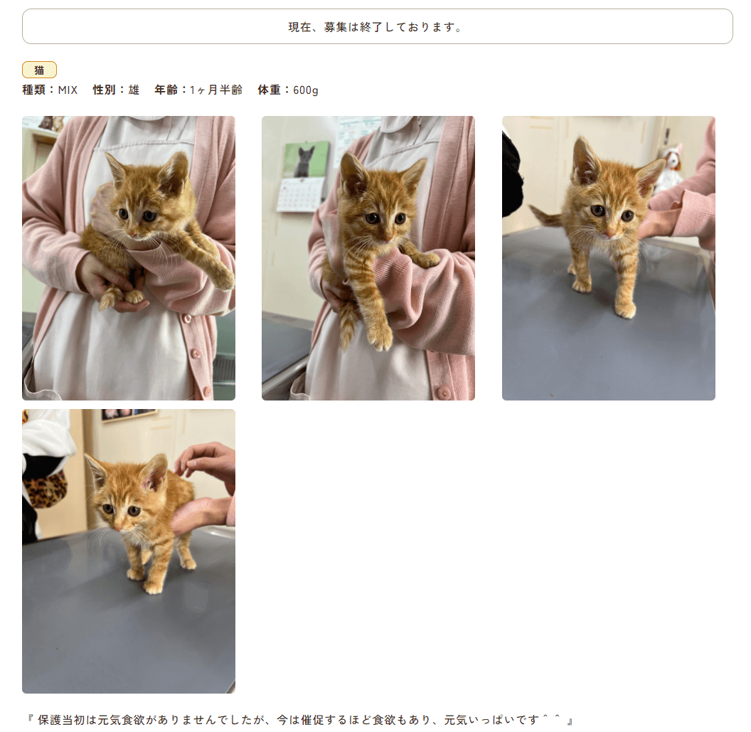 比較イメージ画像