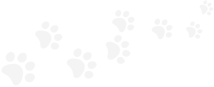 paws-img